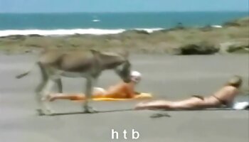 Ninfómana anime chicas en entrenamiento sexual videos de srxo